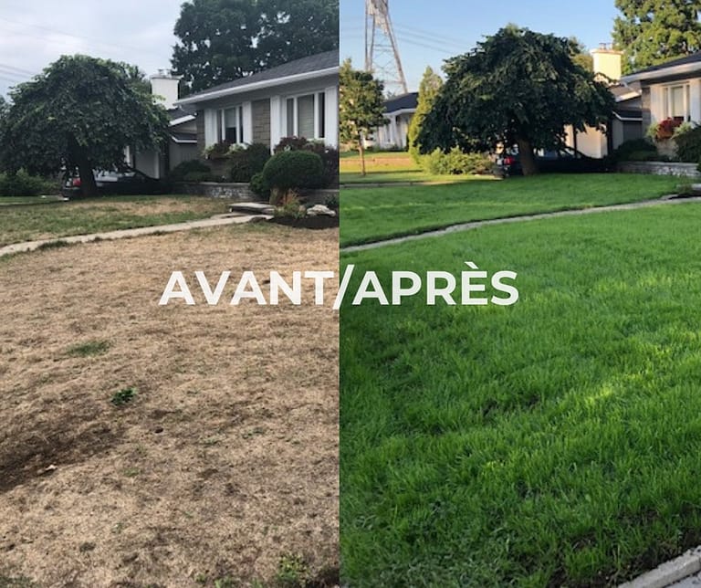 Aménagement de massif paysager avec paillage minéral