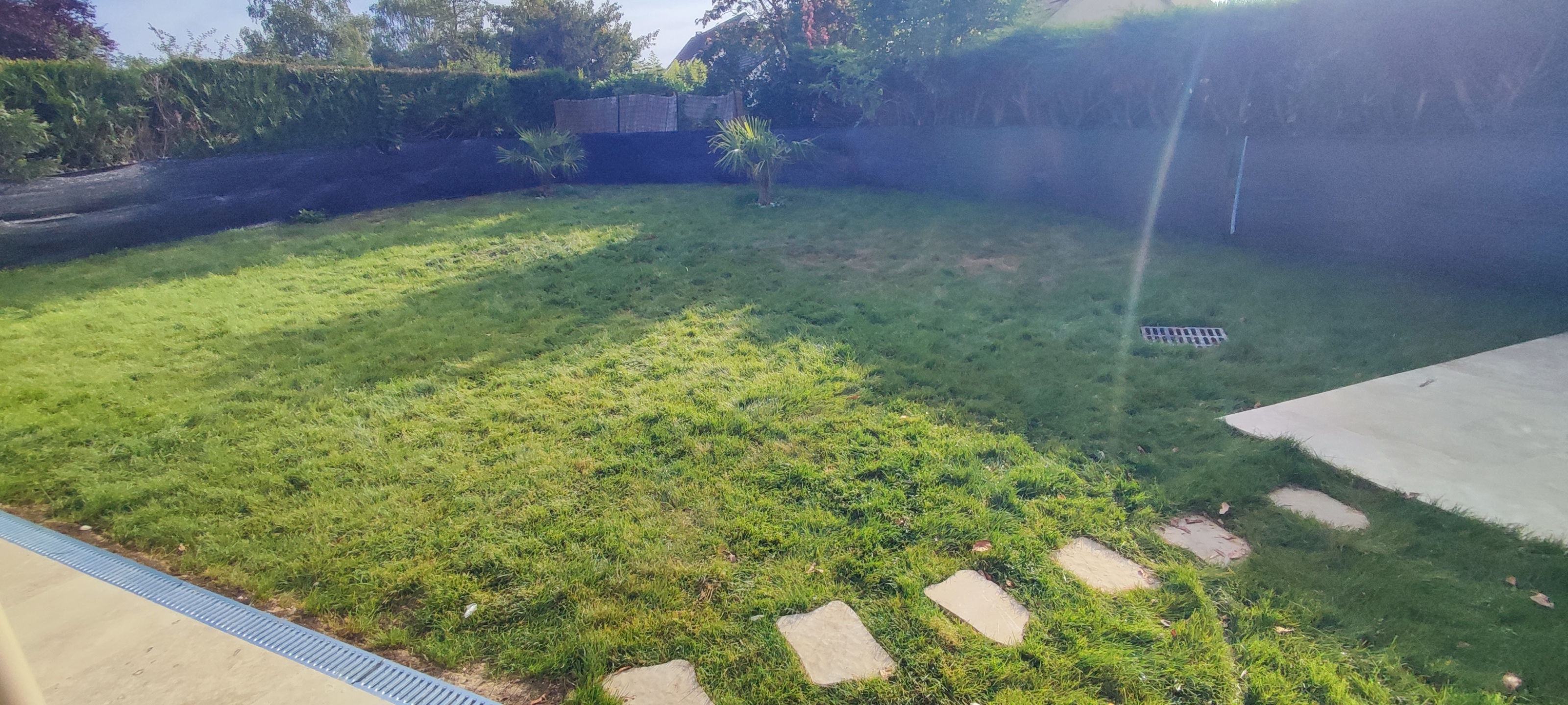 Création de jardin avec plantations d'ornement à Poissy