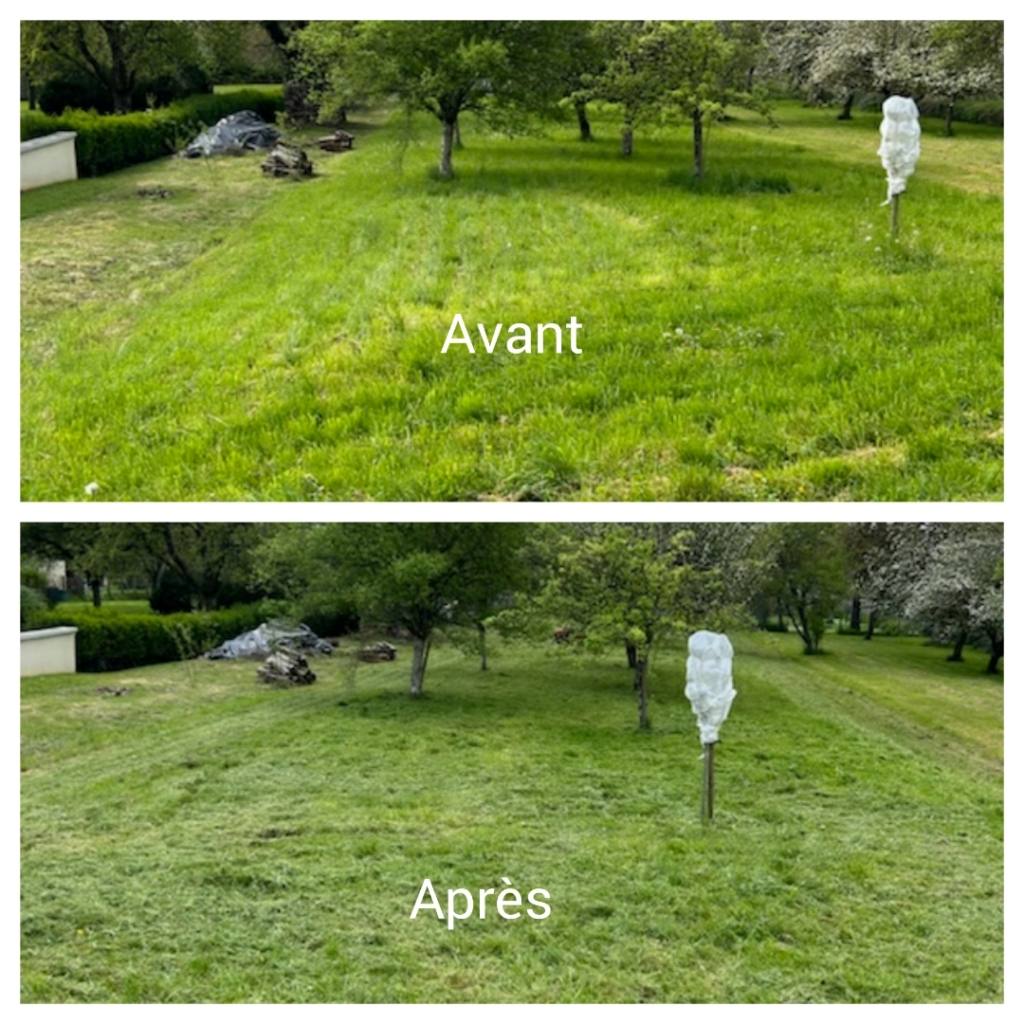Tonte de pelouse et entretien gazon Yvelines